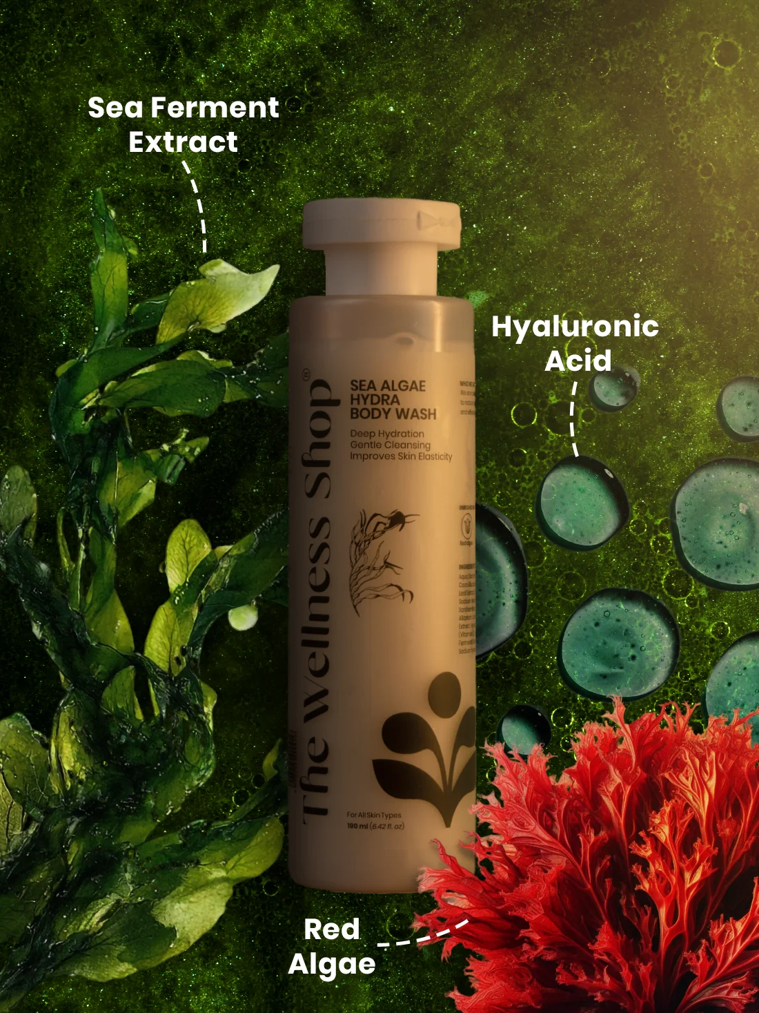 Sea Algae Hydra Body Wash - Image 4