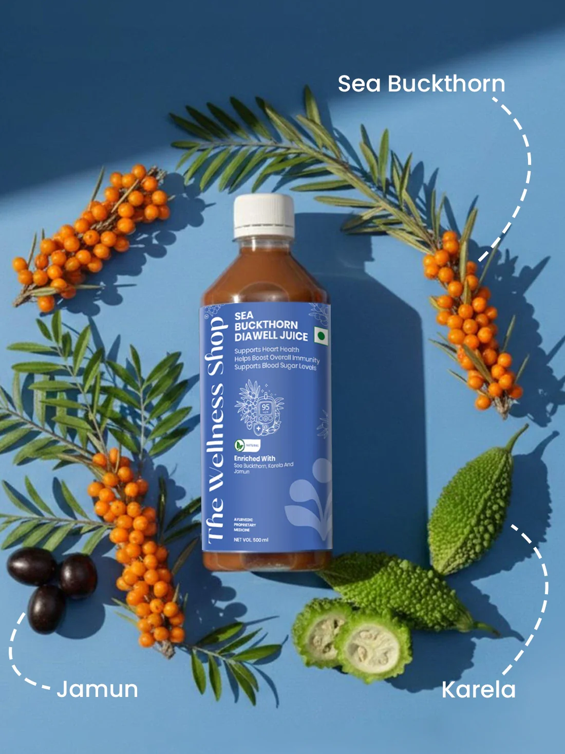 Sea Buckthorn DiaWell Juice - Image 5