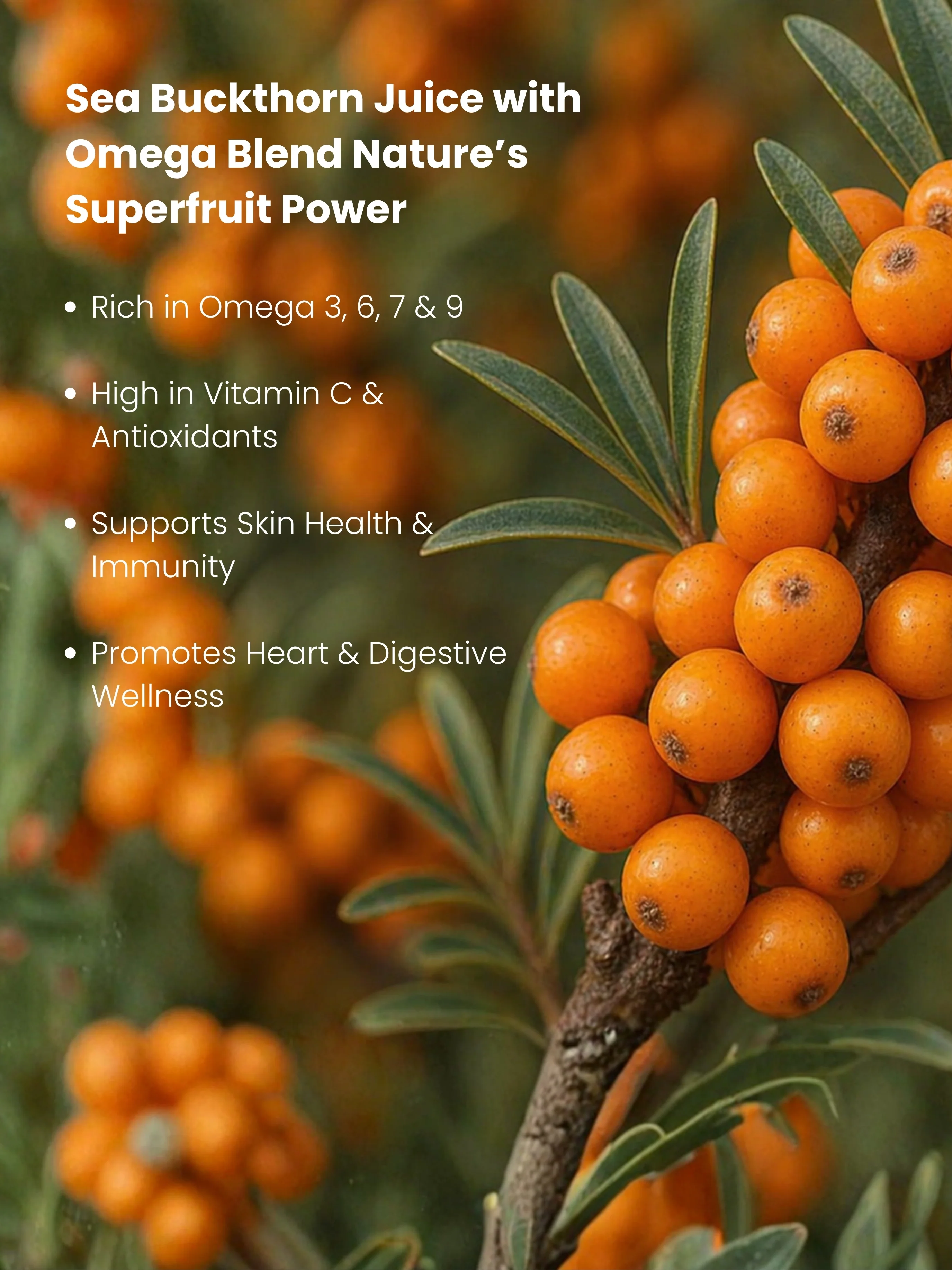 Sea Buckthorn Juice – 100% Ayurvedic for Immunity, Glow & Energy - Image 4