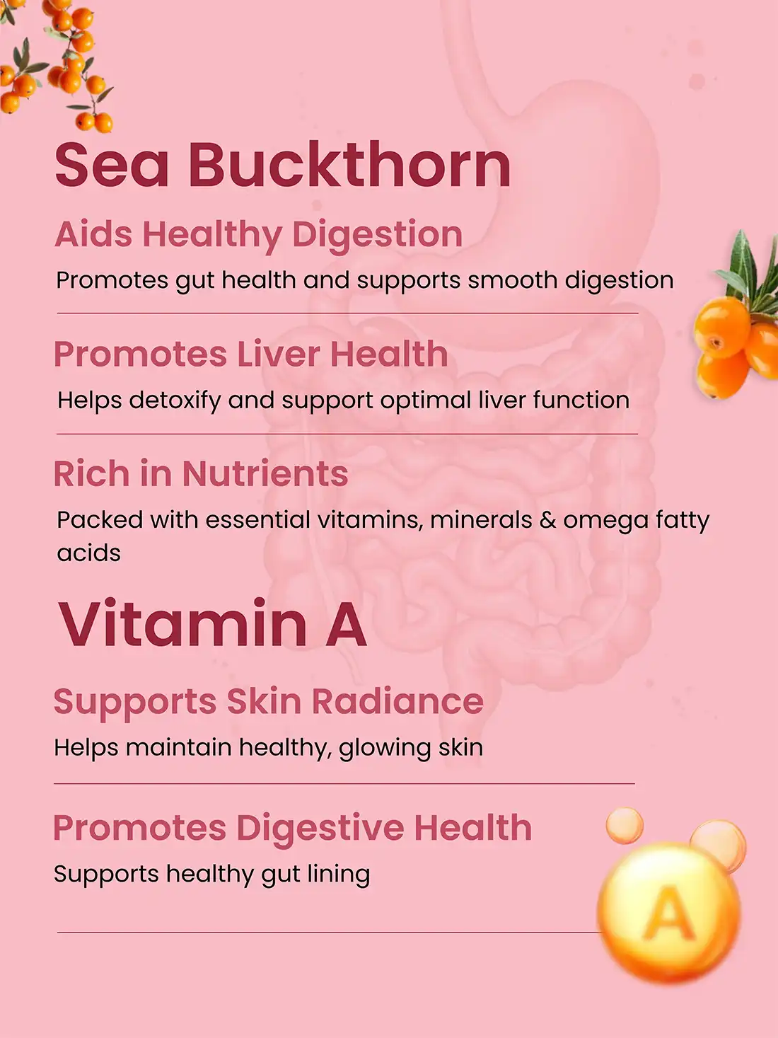 Sea Buckthorn Juice - Image 9